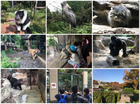 02tokyo Ueno zoo autumn to winter 2016